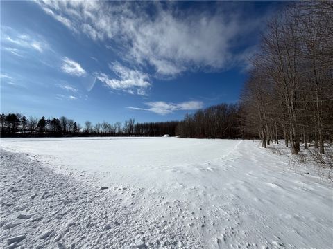 Photo of Carpenter Road, Evans, NY 14006 (MLS # R1661481)