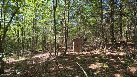 Tiny photo for Black Ash Road, Woodhull, NY 14898 (MLS # R1715055)