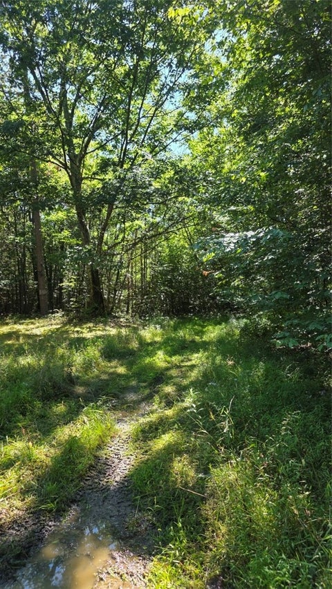 Tiny photo for Black Ash Road, Woodhull, NY 14898 (MLS # R1715055)