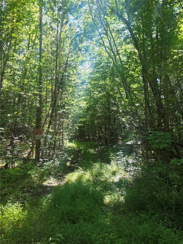 Black Ash Road