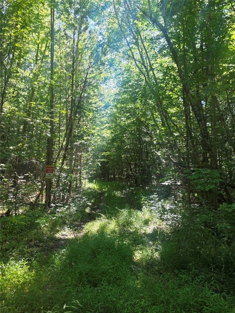Tiny photo for Black Ash Road, Woodhull, NY 14898 (MLS # R1715055)