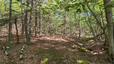 Tiny photo for Black Ash Road, Woodhull, NY 14898 (MLS # R1715055)
