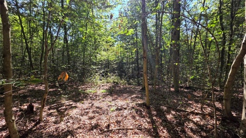 Tiny photo for Black Ash Road, Woodhull, NY 14898 (MLS # R1715055)