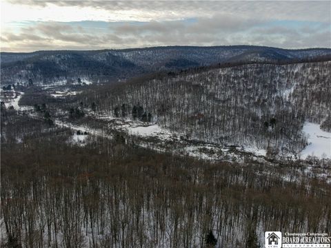 Tiny photo for 469 N Branch Road, Eldred, PA 16731 (MLS # R1654698)