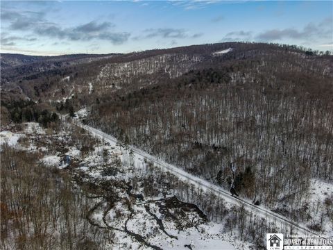 Tiny photo for 469 N Branch Road, Eldred, PA 16731 (MLS # R1654698)