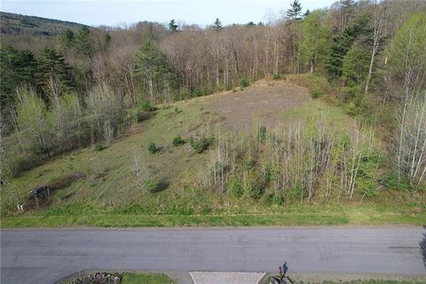 Vacant Land For Sale - 119 Hickory Hill Road<br/> Otsego County, Otego, NY 13825