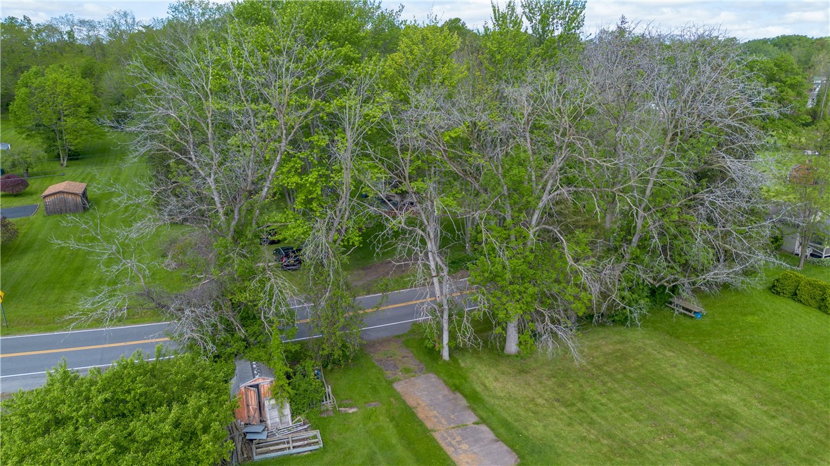 00 Lower Lake Road, Seneca Falls, New York image 8