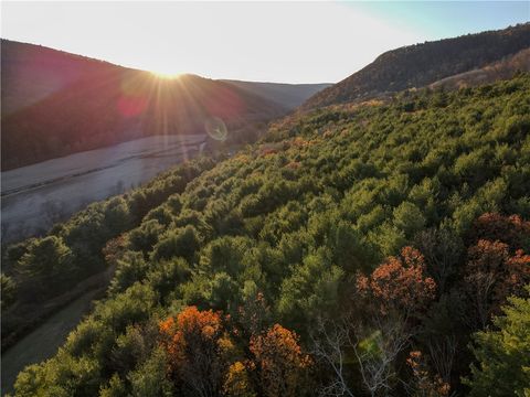 Vacant Land For Sale - VL LOT 1 County Route 119<br/> Steuben County, Canisteo, NY 14823