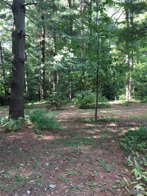 Photo for 1953 Mapleview Drive