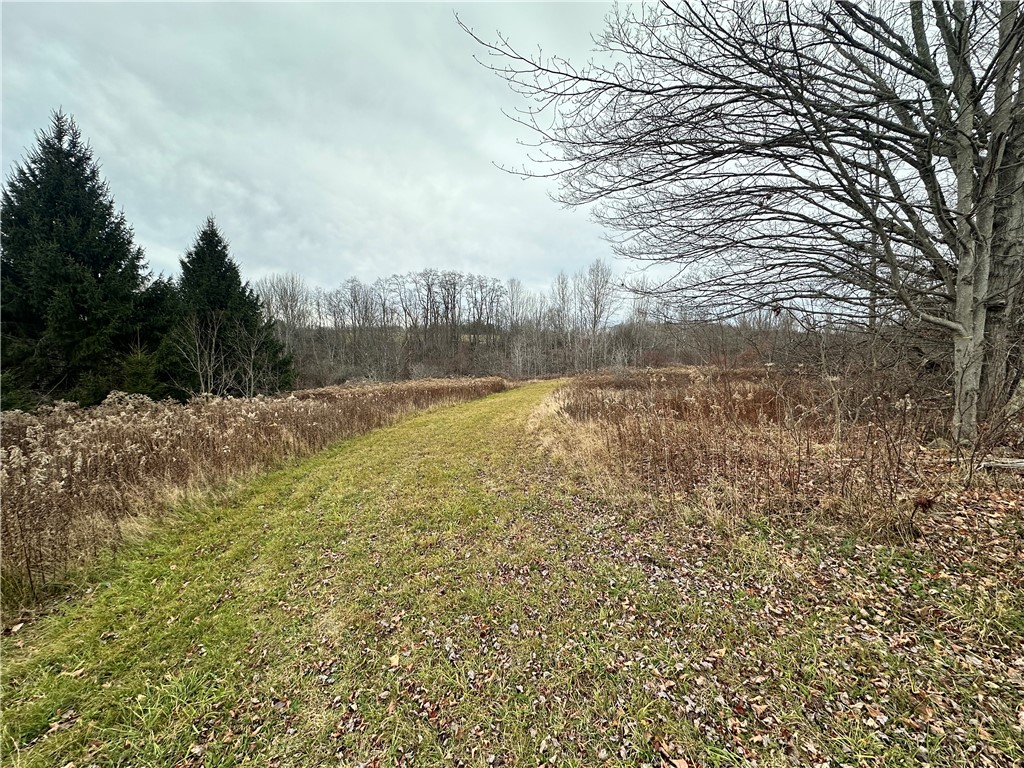 Kostenko Sutton Road, Pitcher, New York image 3