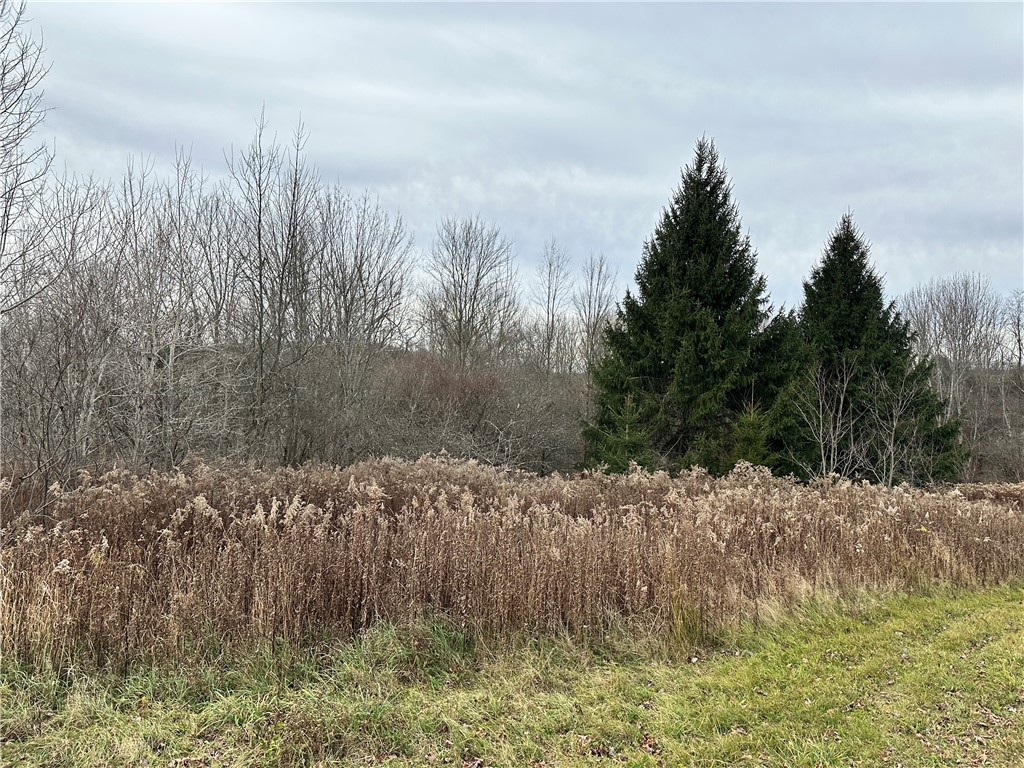 Kostenko Sutton Road, Pitcher, New York image 6