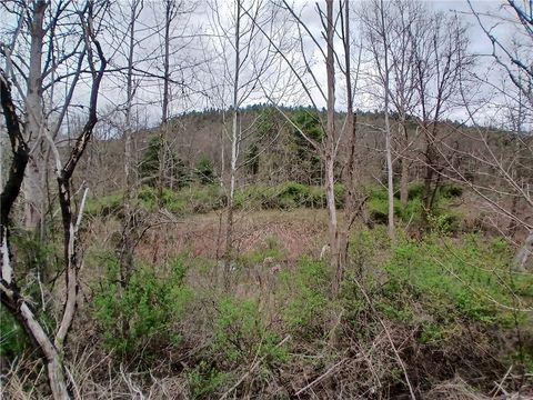 Vacant Land For Sale - Caton Rd (st Rt 225)<br/> Corning, NY 14830