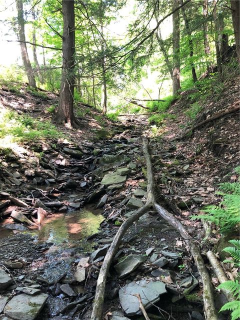 Vacant Land For Sale - Dingman Hill Road<br/> Bainbridge, NY 13733