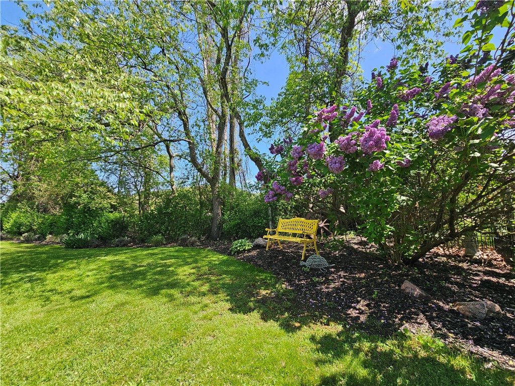 4862 Cross Street, Campbell, New York image 9