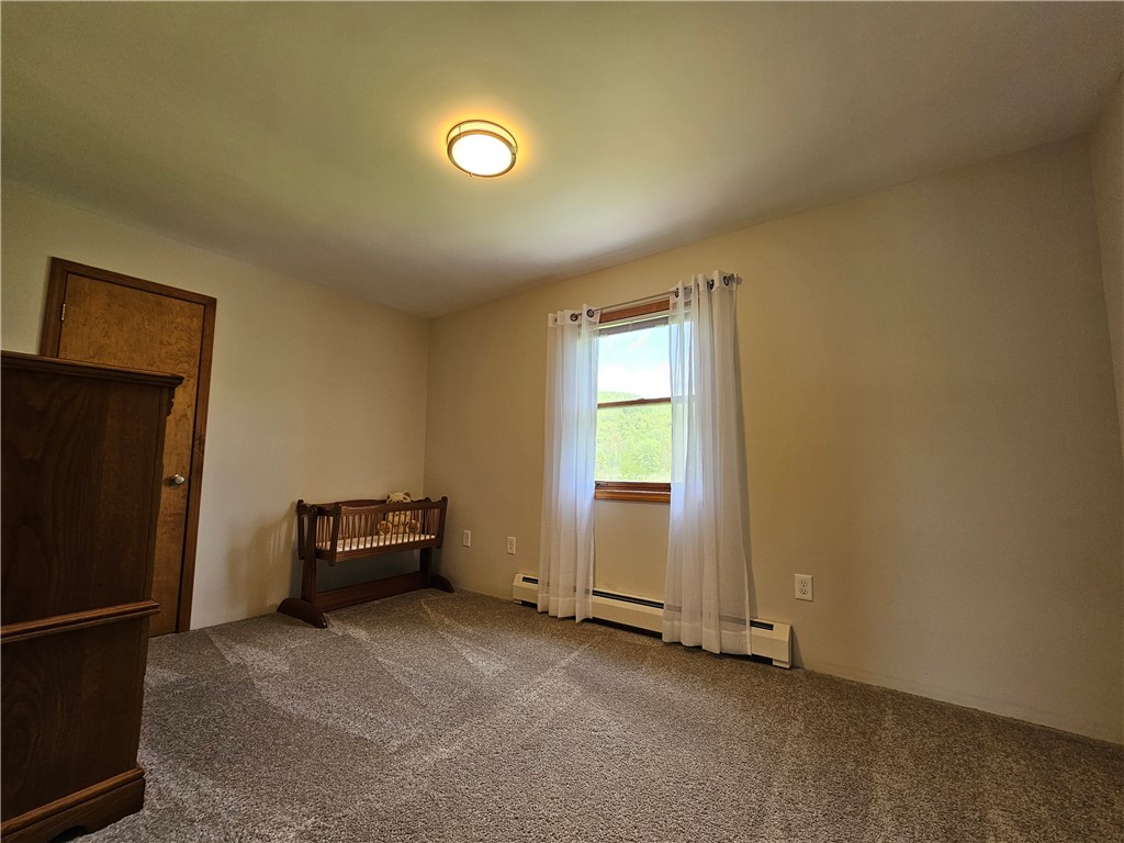 4862 Cross Street, Campbell, New York image 42