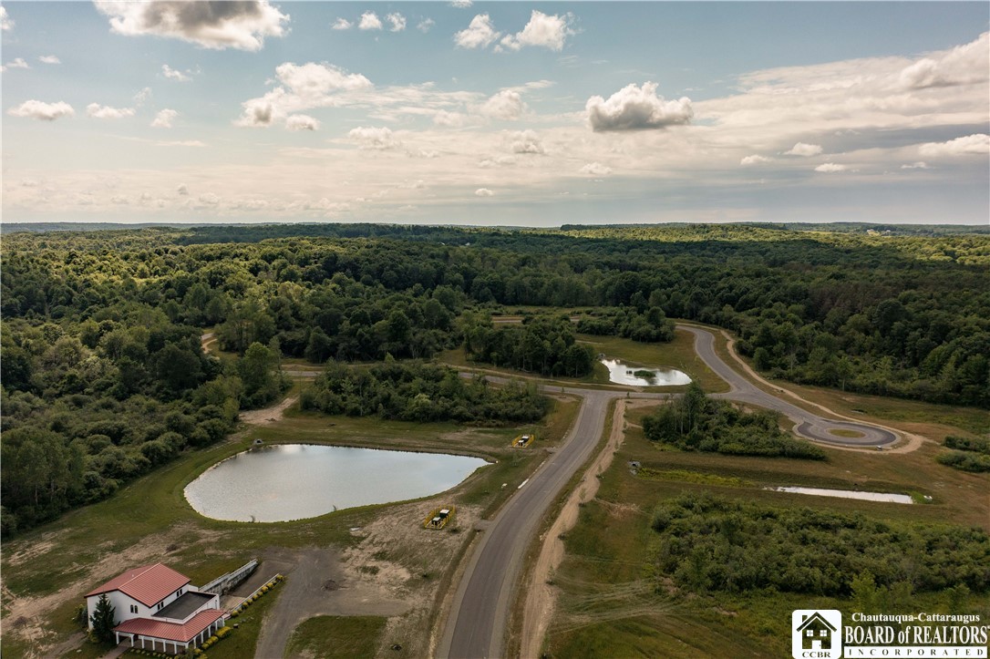 9 Mandolin Ridge, Chautauqua, New York image 3