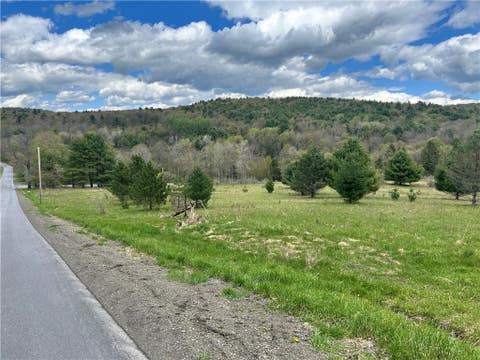 Vacant Land For Sale - Mary Brown Hill Road<br/> Laurens, NY 13796