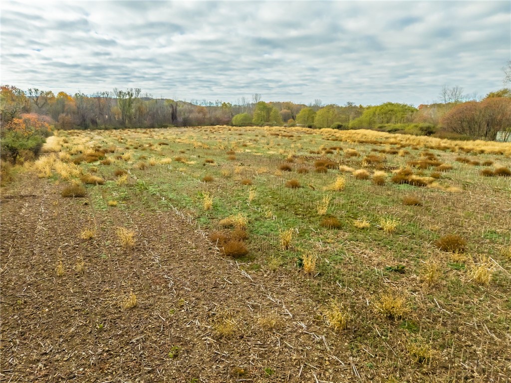 8009 State Route 251