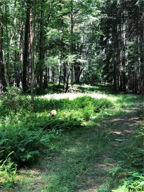 Tiny photo for 7632 Centerville Road, Hume, NY 14744 (MLS # R1653529)