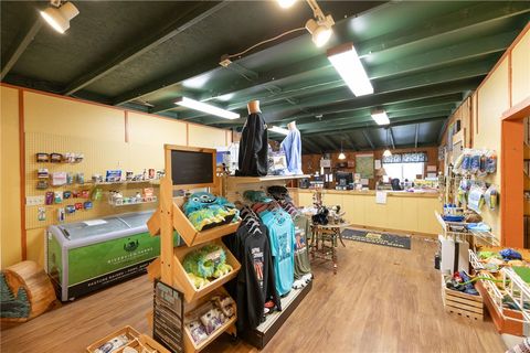 Tiny photo for 7632 Centerville Road, Hume, NY 14744 (MLS # R1653529)