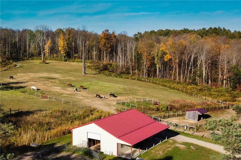 Tiny photo for 7632 Centerville Road, Hume, NY 14744 (MLS # R1653529)