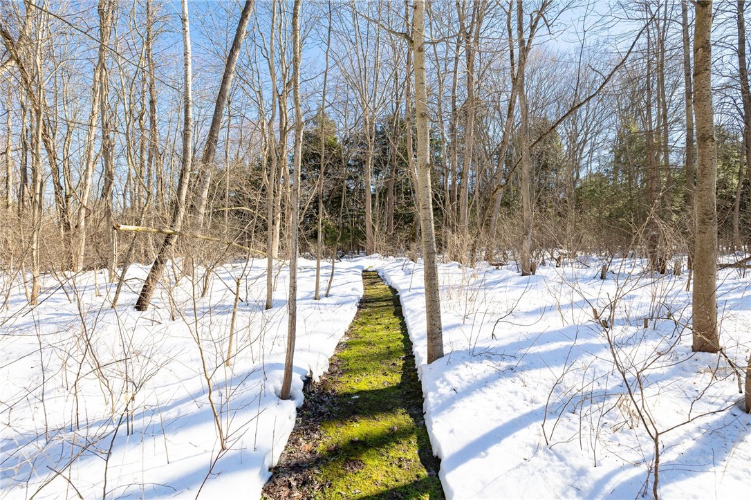 4640 Boynton Road, Walworth, New York image 48