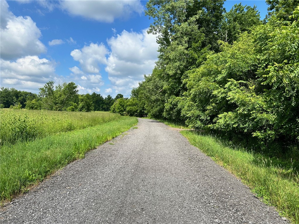 71 Westcombe Park, Henrietta, New York image 41