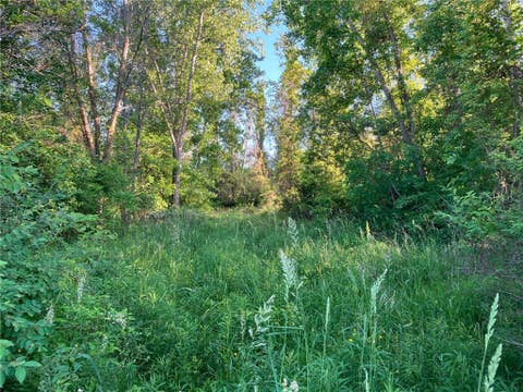 Photo for 2479 Brick Schoolhouse Road