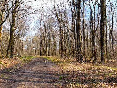 Vacant Land For Sale - 1700 28th Creek Road<br/> Ellington, NY 14733