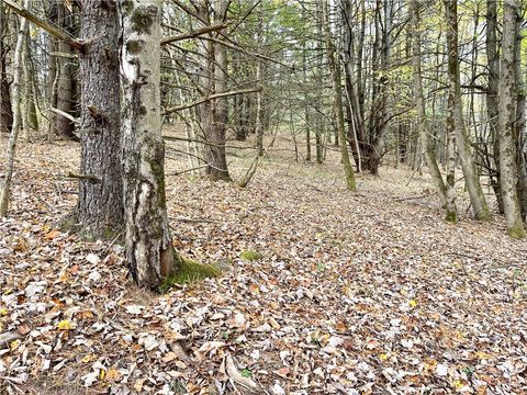 Tiny photo for County Highway 3, Butternuts, NY 13843 (MLS # R1655682)