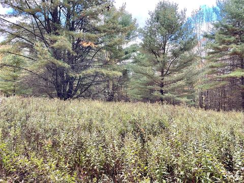 Tiny photo for County Highway 3, Butternuts, NY 13843 (MLS # R1655682)