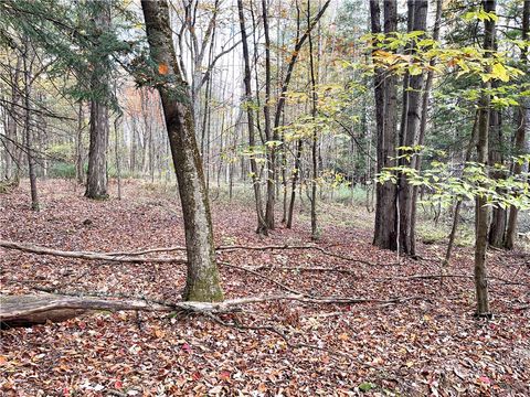 Tiny photo for County Highway 3, Butternuts, NY 13843 (MLS # R1655682)