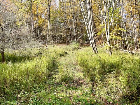 Tiny photo for County Highway 3, Butternuts, NY 13843 (MLS # R1655682)
