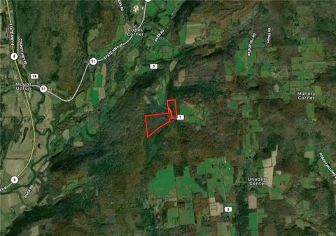 Tiny photo for County Highway 3, Butternuts, NY 13843 (MLS # R1655682)