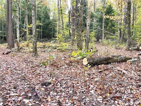 Tiny photo for County Highway 3, Butternuts, NY 13843 (MLS # R1655682)