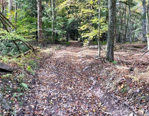 Tiny photo for County Highway 3, Butternuts, NY 13843 (MLS # R1655682)