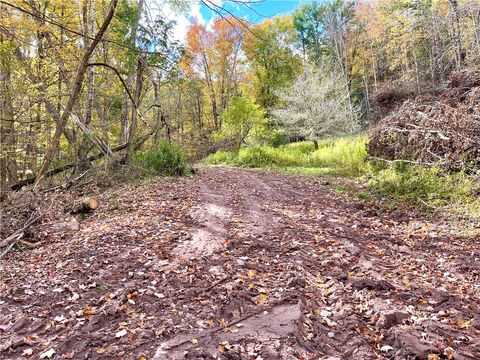 Tiny photo for County Highway 3, Butternuts, NY 13843 (MLS # R1655682)