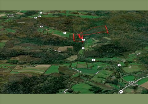 Tiny photo for County Highway 3, Butternuts, NY 13843 (MLS # R1655682)