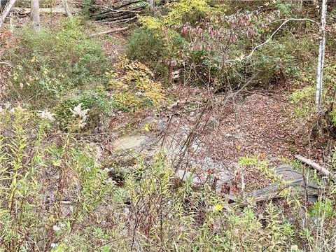 Tiny photo for County Highway 3, Butternuts, NY 13843 (MLS # R1655682)