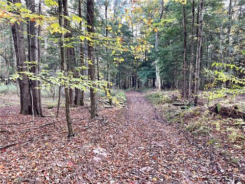 Tiny photo for County Highway 3, Butternuts, NY 13843 (MLS # R1655682)