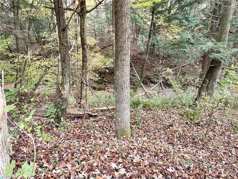 Tiny photo for County Highway 3, Butternuts, NY 13843 (MLS # R1655682)