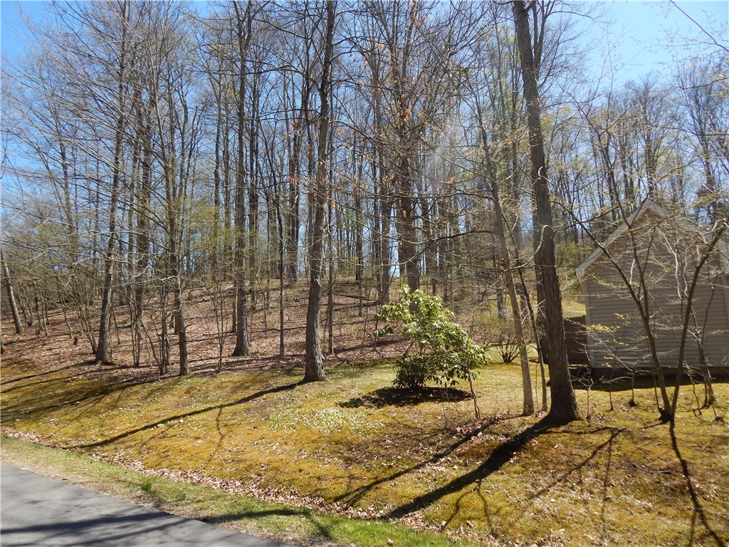 150 Pleasanton Drive, Otego, New York image 8