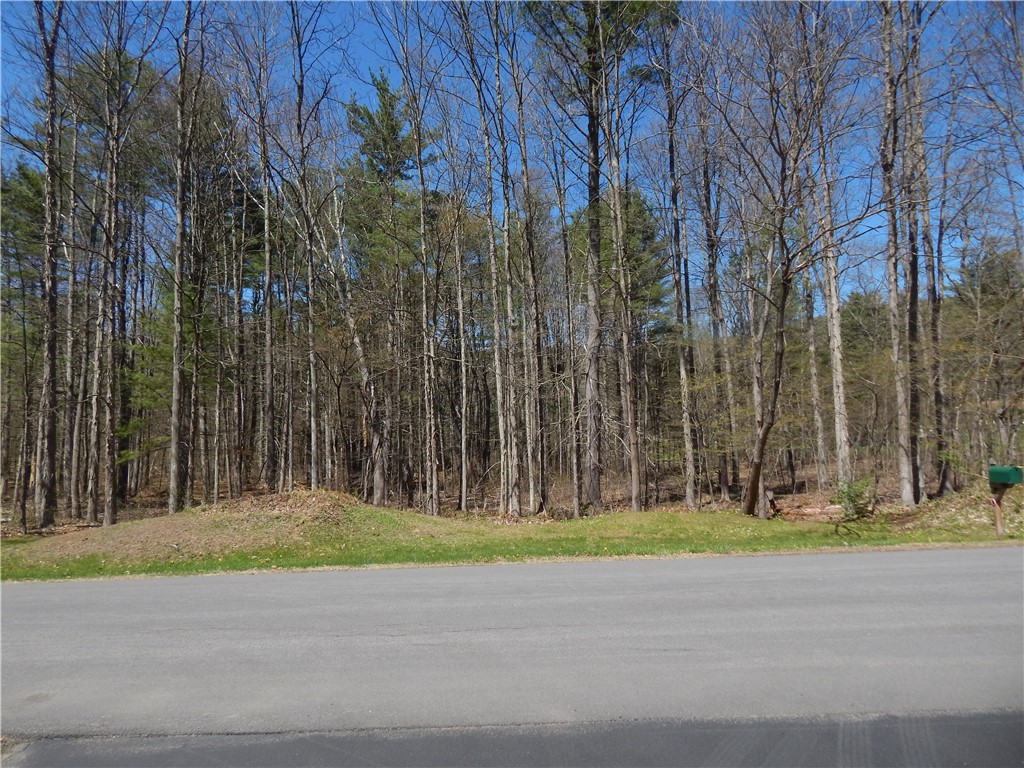 150 Pleasanton Drive, Otego, New York image 42