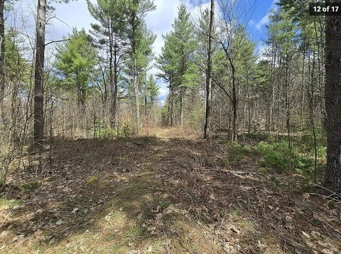 Vacant Land For Sale - 13612 Lewisburg Road<br/> Diana, NY 13665