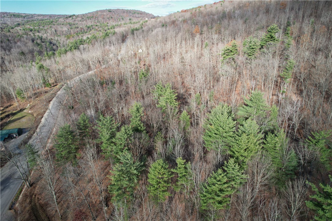 Braybrook Road, Chemung, New York image 1