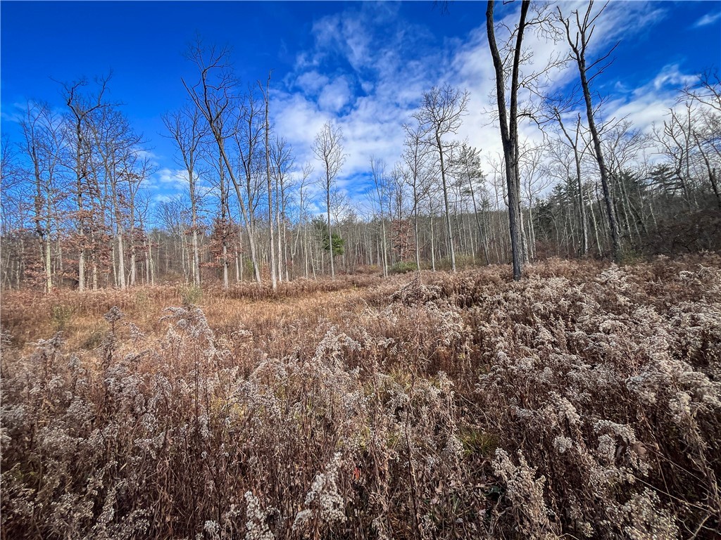 Braybrook Road, Chemung, New York image 9