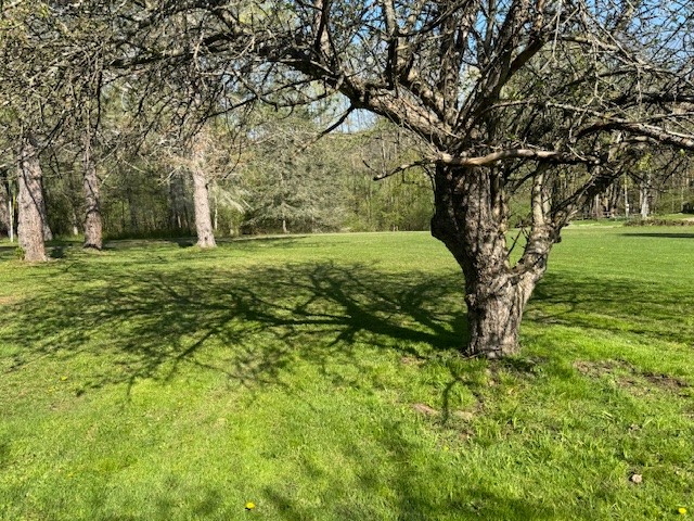 2725 Miller Road, Wellsville, New York image 34