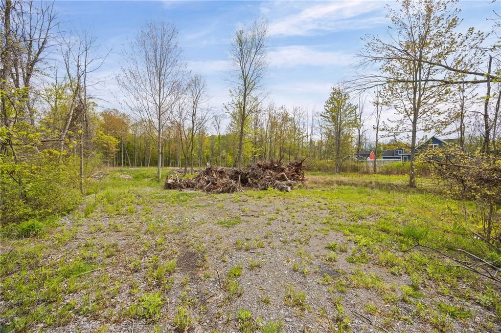 Photo of 6440 County Line Road, Ontario, NY 14519 (MLS # R1681717)