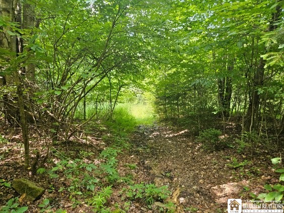 5162 Whig Street, Little Valley, New York image 20