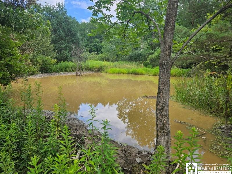 5162 Whig Street, Little Valley, New York image 15